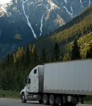  高损耗、难保鲜？生鲜电商在冷链运输管控上如何破局？