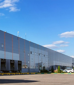  公路货运的保险条款